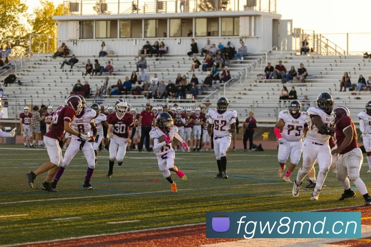 mk官网查询平台生态图